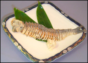 �t�i�����@�ʐ^